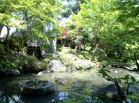 アサヒビール大山崎山荘美術館の新緑と池